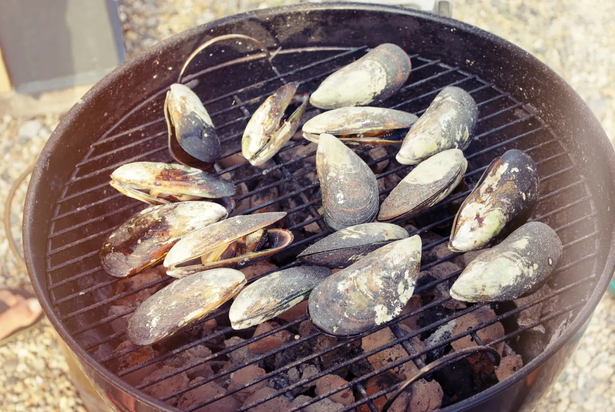 Grilled Mussels - David's Soundview Catering